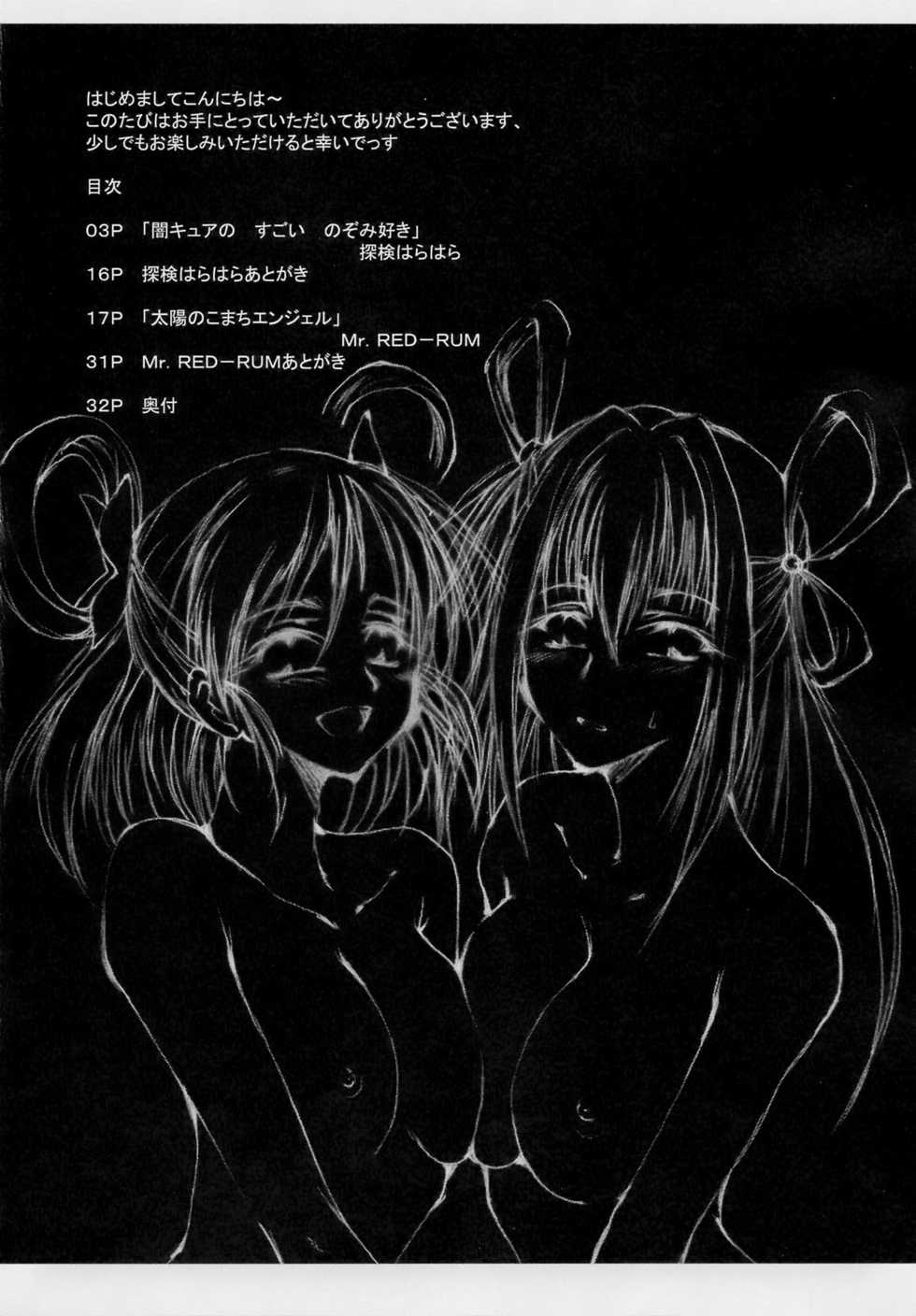 [Doro san Gyou] Doro san Gyou no hon (Yes! PreCure 5) - Page 3