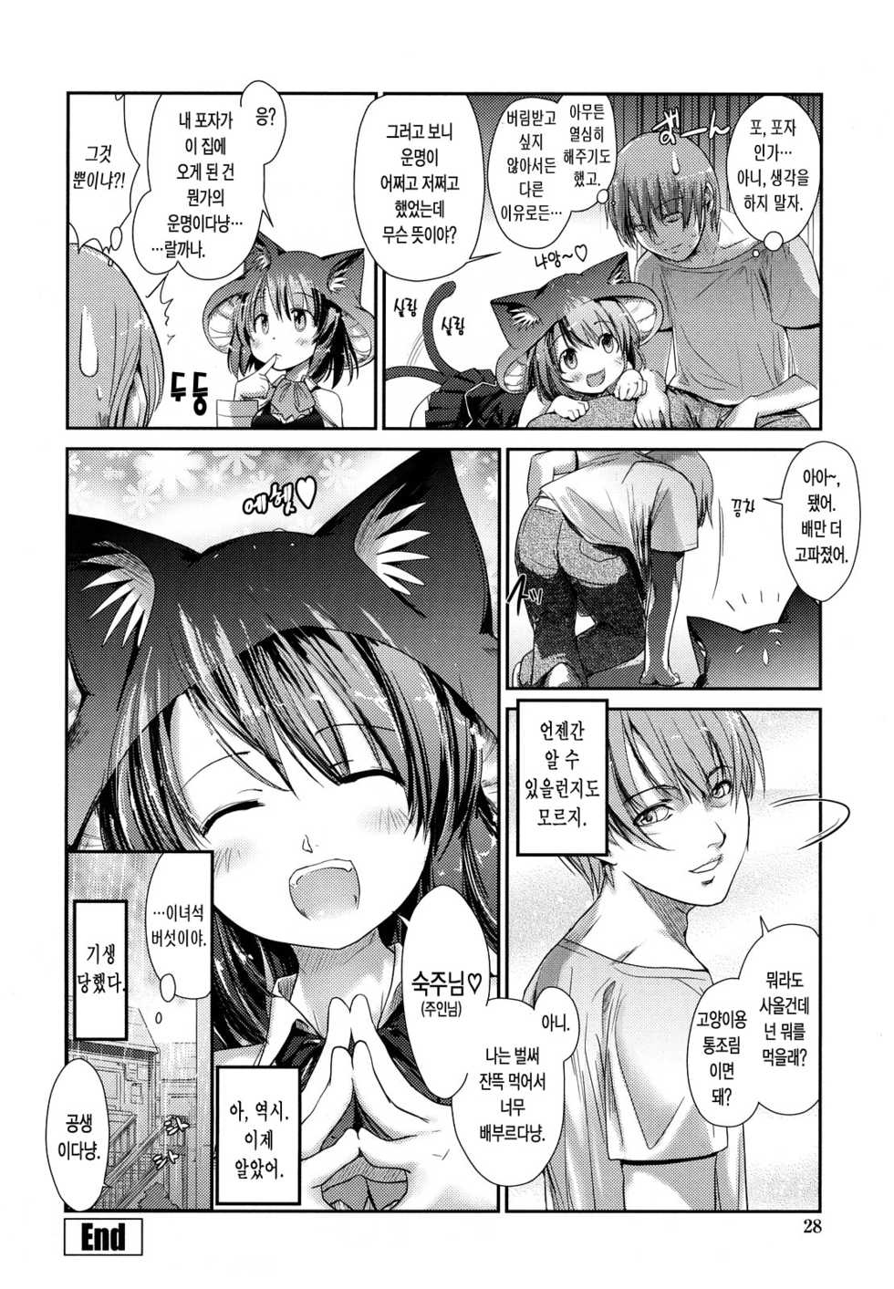 [Nixinamo Lens] Nekokino to Ame no Machi - Cat Mushroon Girl And Town of Rain [Korean] - Page 29