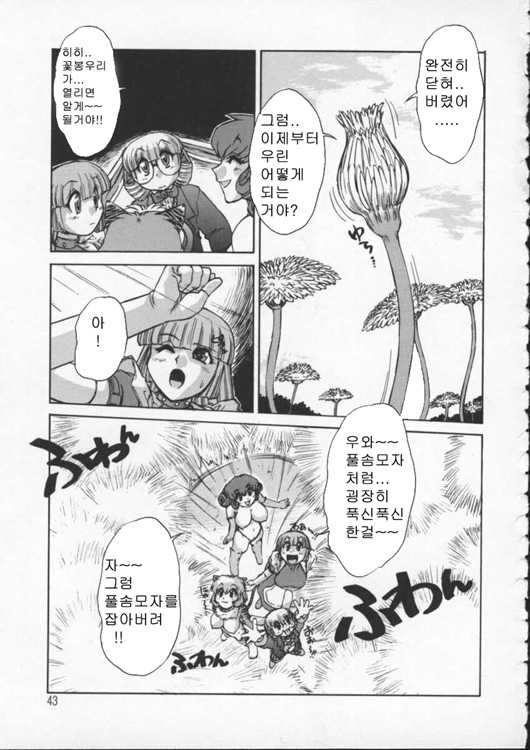 [Juubaori Mashumaro] ALICE SECOND [Korean] - Page 39
