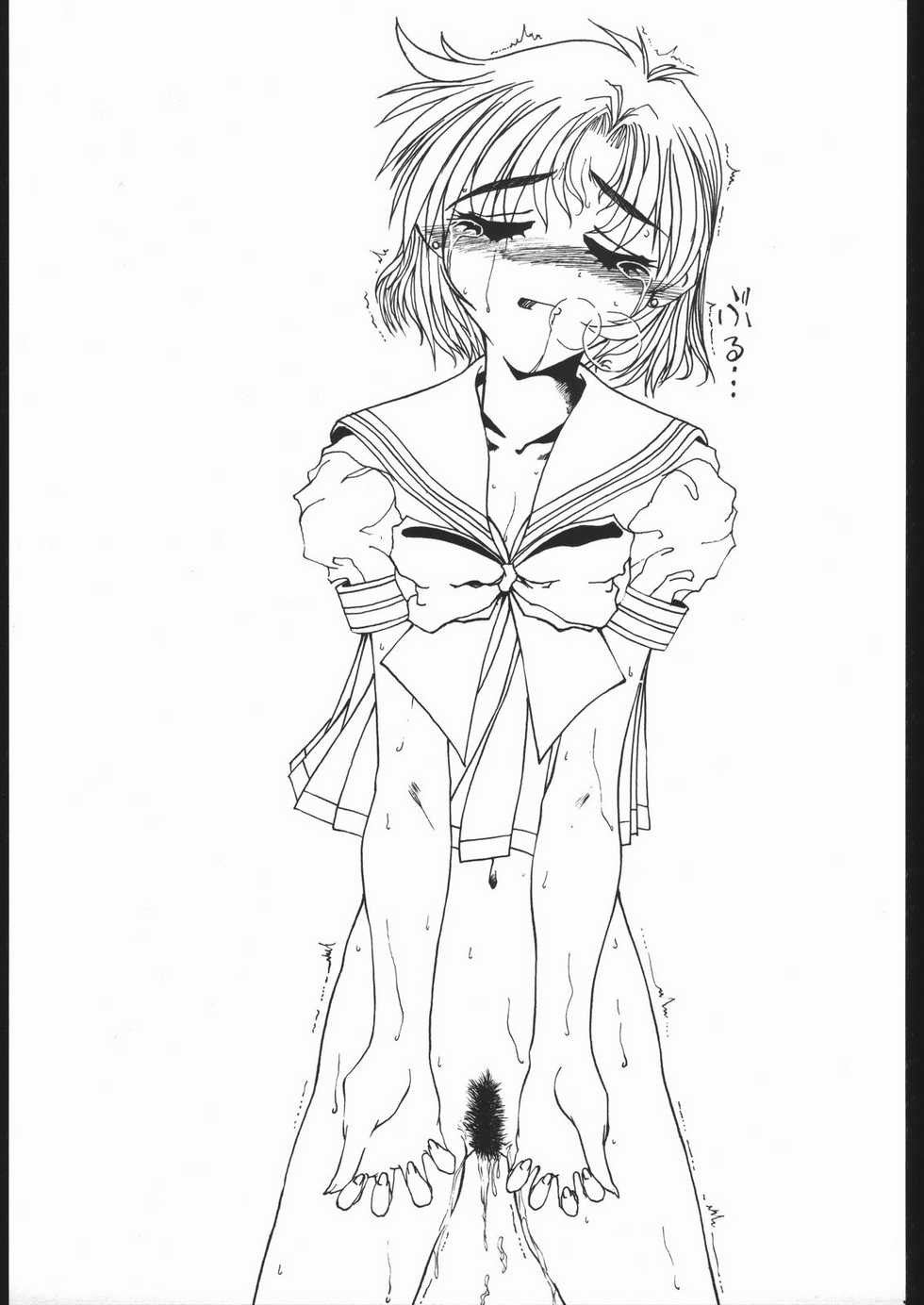 (C54) [Fresnel Lens (Hirano Kana)] Plus (Hinadori no Saezuri [Maiden of Deliverance]) - Page 36