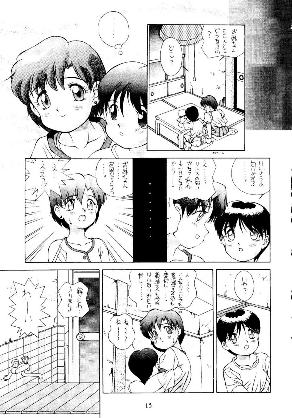 (C44) [Doudan Tsutsuji (Various)] Suisei Mercury (Bishoujo Senshi Sailor Moon) - Page 14