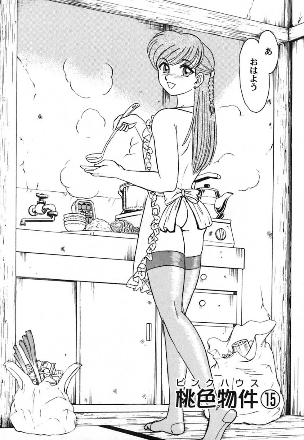 [Aro Hiroshi] Pink House 3 - Page 29