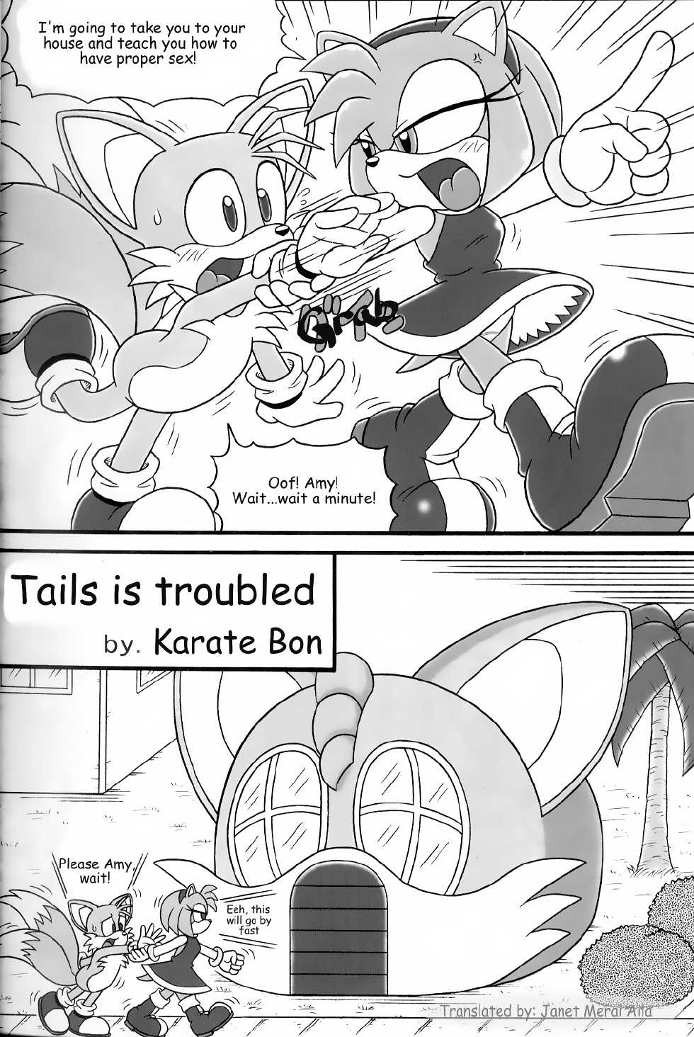 [Furry Bomb Factory (Karate Akabon)] Furry BOMB #3 (Sonic The Hedgehog) [English] [KiTSU] - Page 4