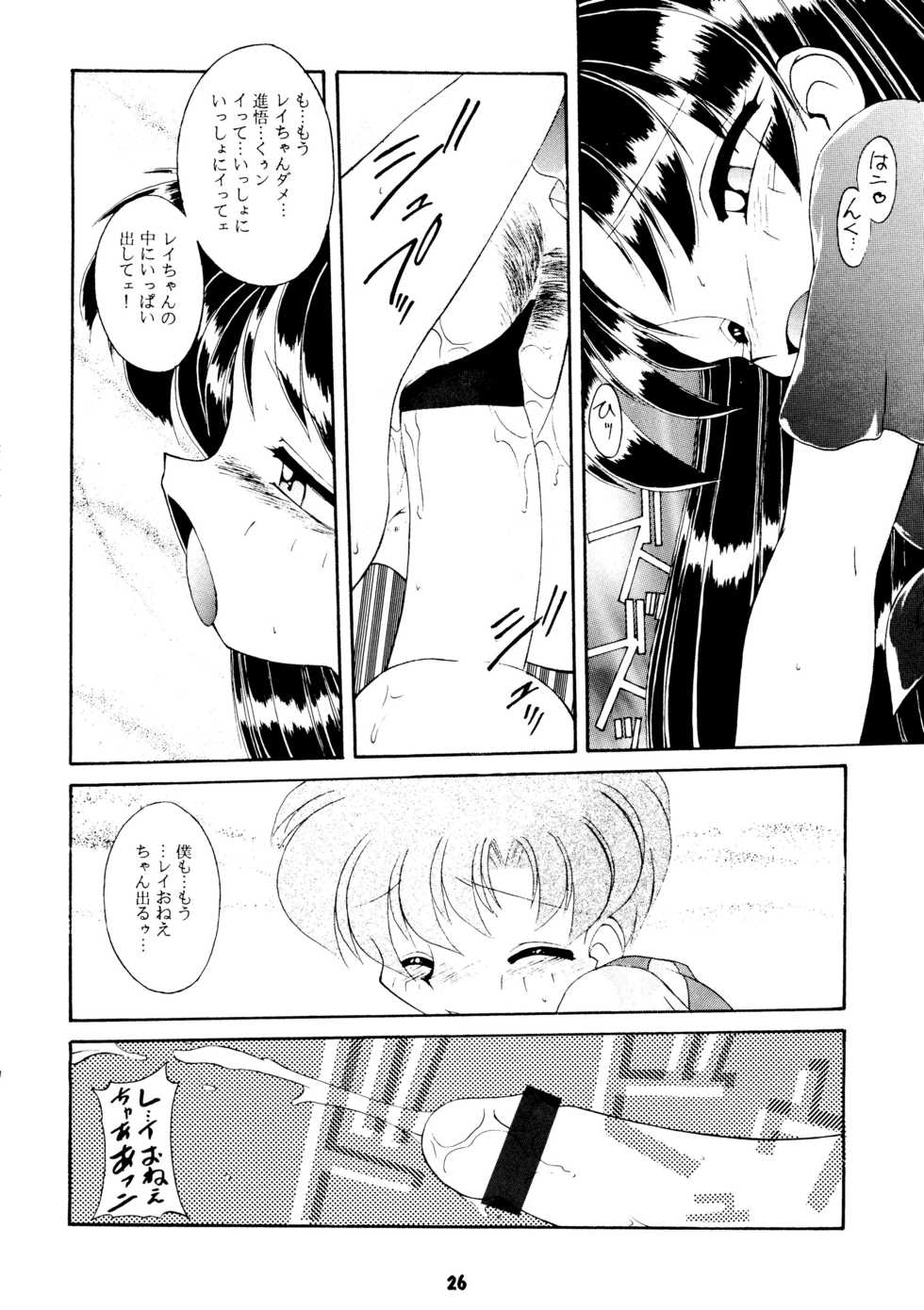 (C50) [Umesuke (Various)] Haber 8 ~Silver Moon~ (Bishoujo Senshi Sailor Moon) - Page 25