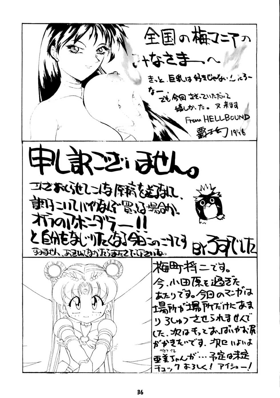 (C50) [Umesuke (Various)] Haber 8 ~Silver Moon~ (Bishoujo Senshi Sailor Moon) - Page 35