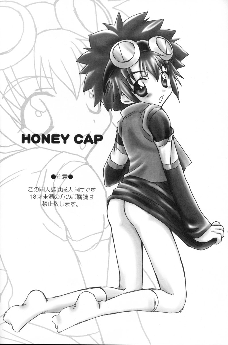 (C61) [Houkago Paradise (Sasorigatame)] Honey Cap (Digimon Adventure 02) - Page 5