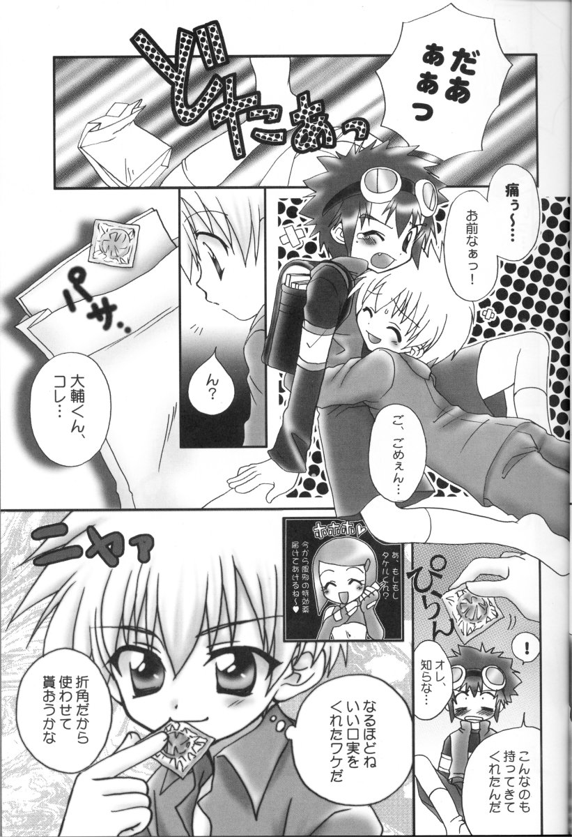 (C61) [Houkago Paradise (Sasorigatame)] Honey Cap (Digimon Adventure 02) - Page 8