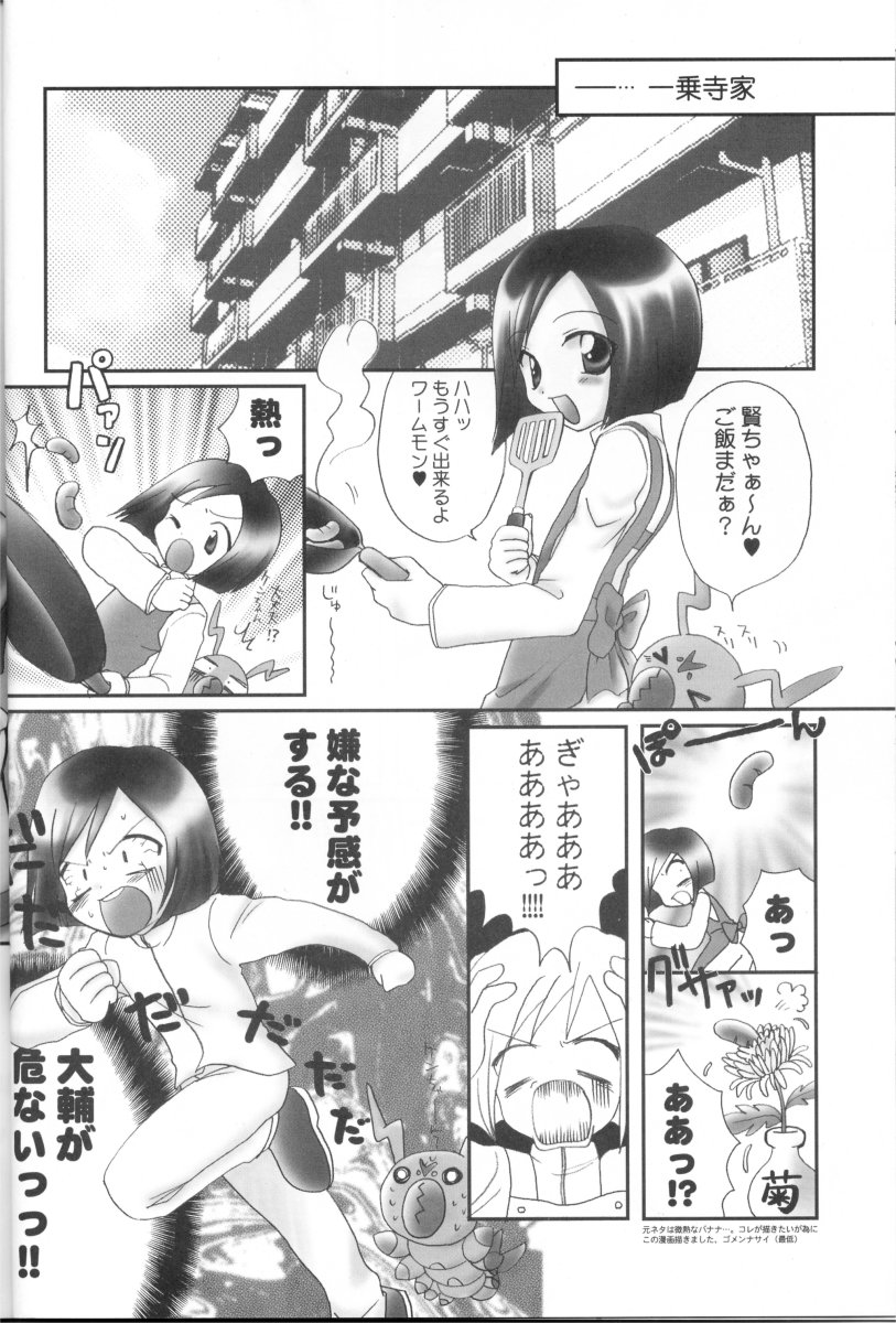 (C61) [Houkago Paradise (Sasorigatame)] Honey Cap (Digimon Adventure 02) - Page 11
