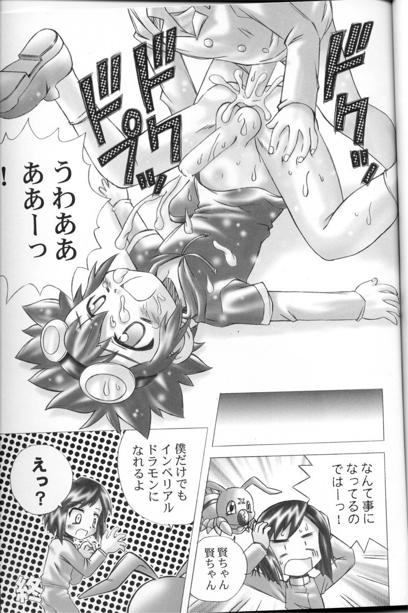 (C61) [Houkago Paradise (Sasorigatame)] Honey Cap (Digimon Adventure 02) - Page 22