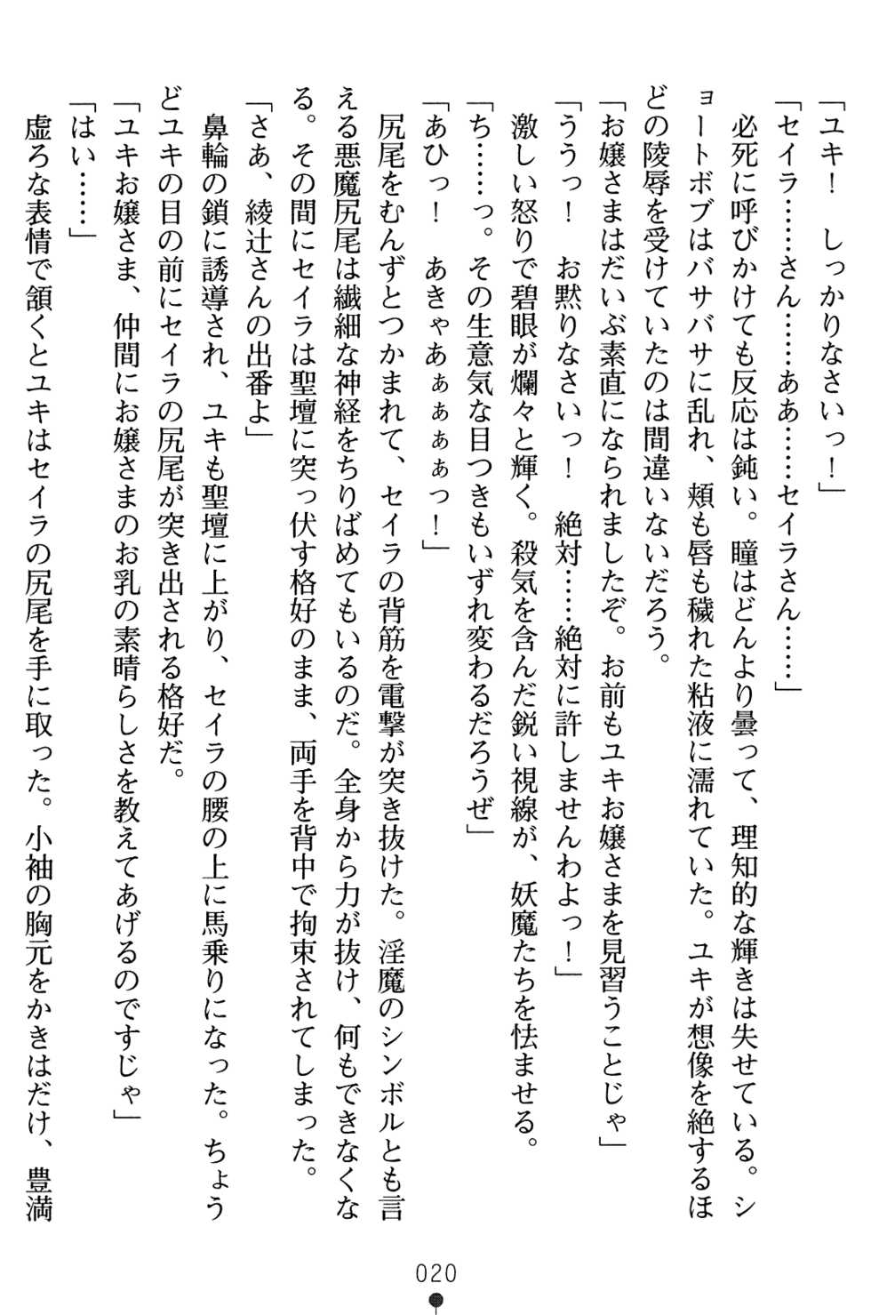 [Chikuma Juukou] Dorei Seitokaichou Hikaru 2 - Page 20