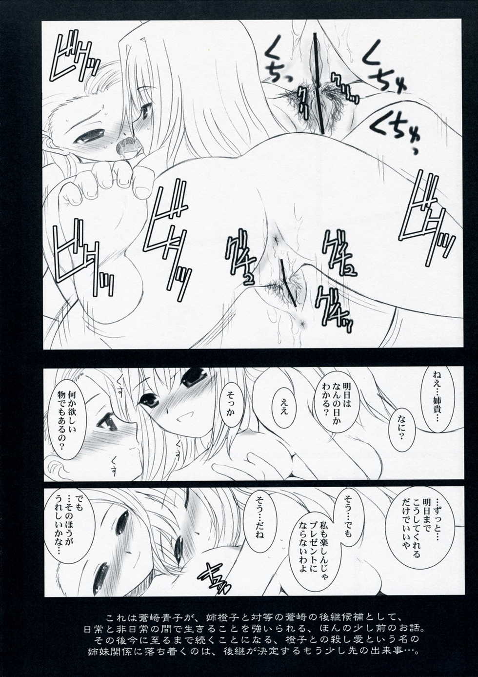 (SC33) [DIEPPE FACTORY (Alpine)] WITCHBLOOD (Mahou Tsukai no Yoru) - Page 10