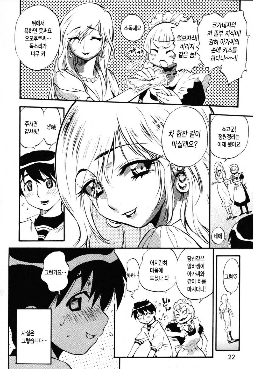 [Miyakawa Hajime] Sekai de Ichiban Suki na Hitozuma - My Most Favorite Others' Wives in the World [Korean] [Project H] - Page 24
