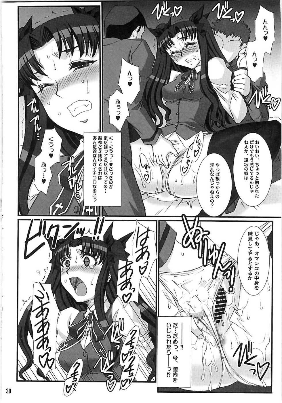 (C79) [H.B (B-RIVER)] Red Degeneration -DAY/5- (Fate/stay night) - Page 29