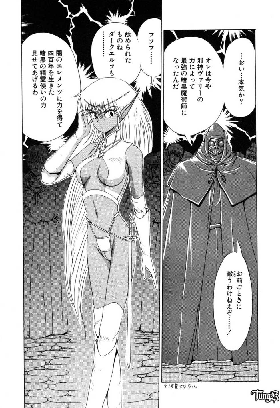 [Makoto Fujisaki] Dark Wirbel Vol 1 - Page 29