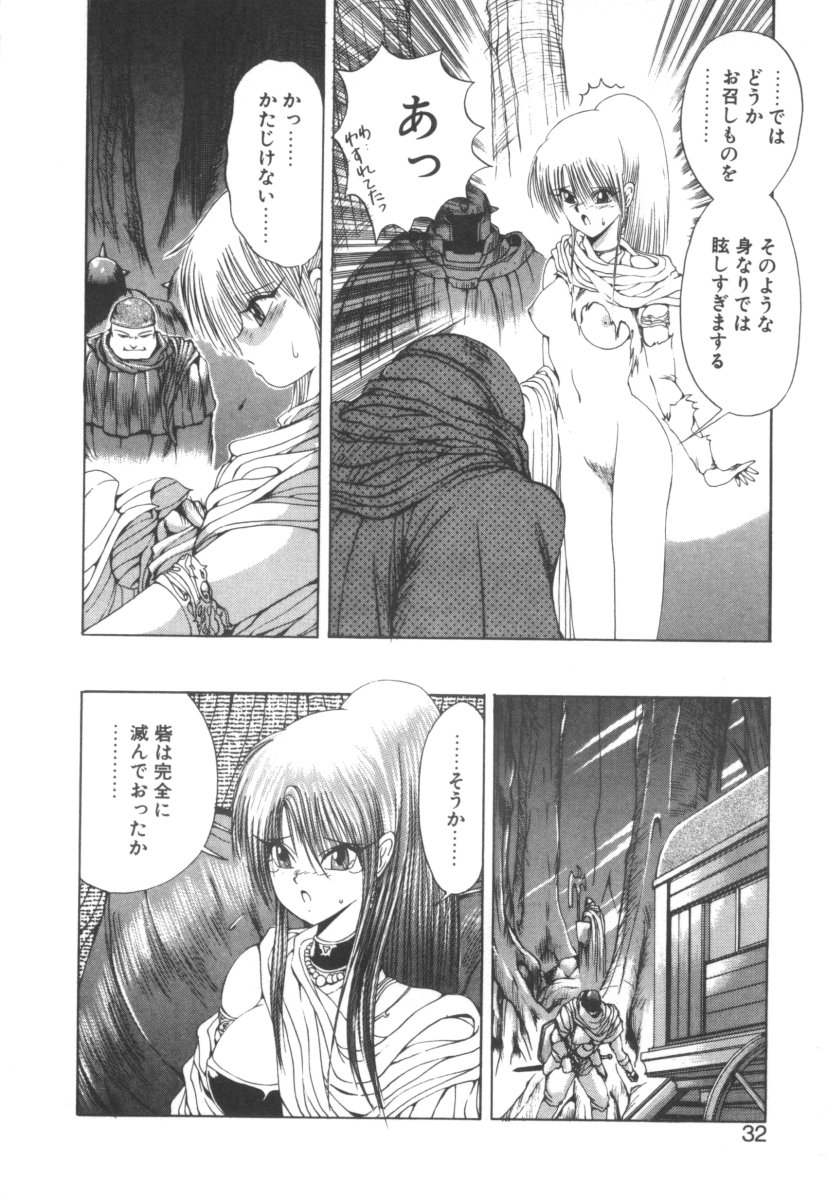 [Makoto Fujisaki] Dark Wirbel Vol 2 - Page 32