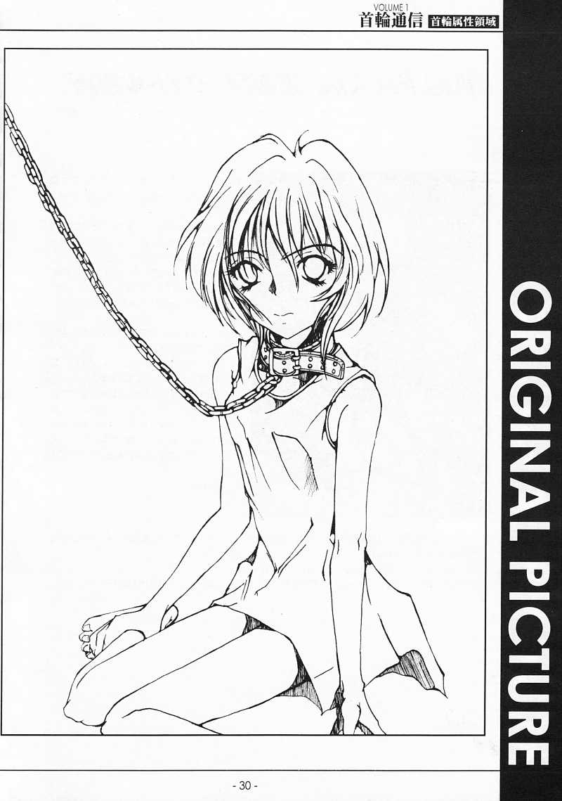 (C57) [SPT (Various)] Kubiwa Tsuushin VOLUME 1 (Various) - Page 29