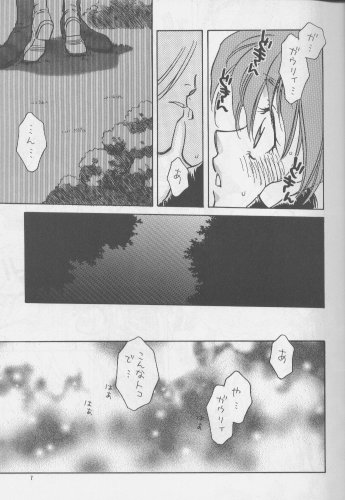 (C51) [Pinky Heaven (Hinoki)] W-Mix (Slayers) - Page 6