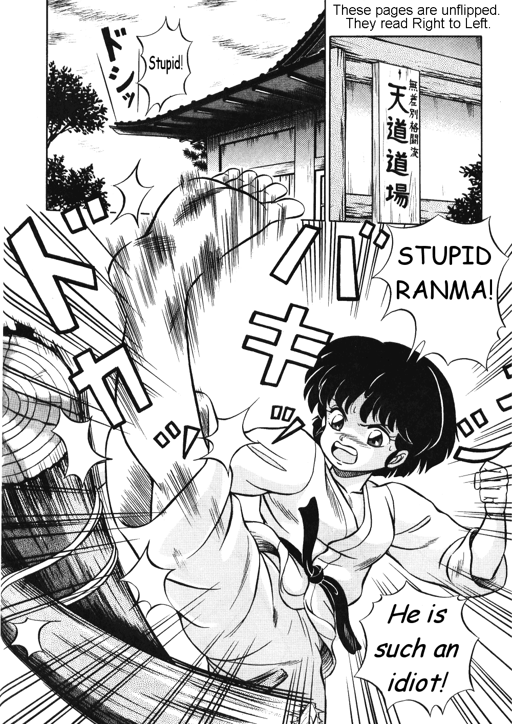 [Taya Takashi] Akane no Baka + Neko wa Kimagure | Stupid Akane + Whimsical Kitty (Ranma 1/2) [English] [The Talented Mr. Ripper] - Page 2