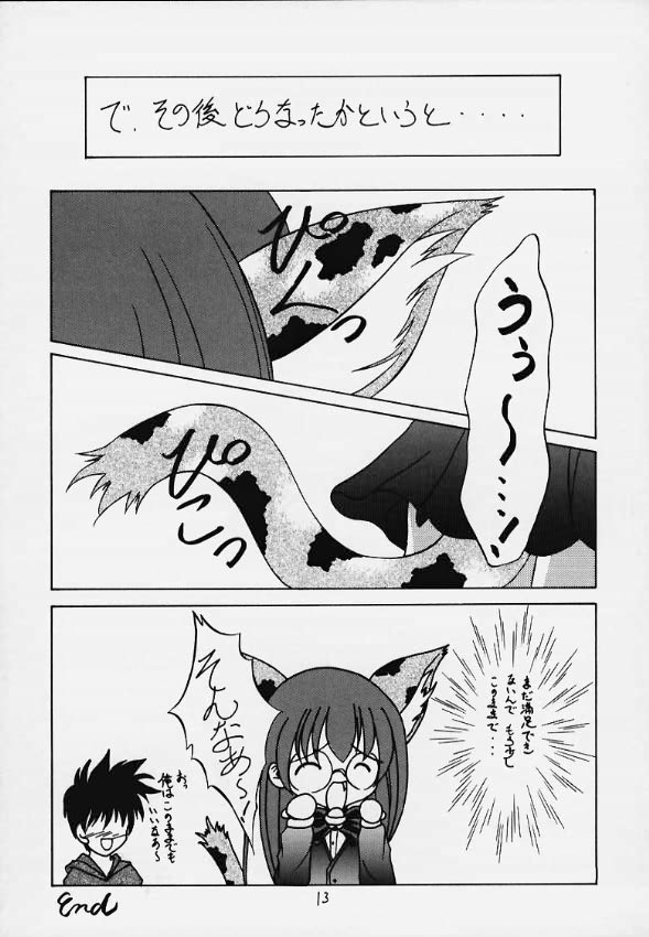 (C58) [RED RIBBON REVENGER (Makoushi)] Momiji (Magical Antique) - Page 10