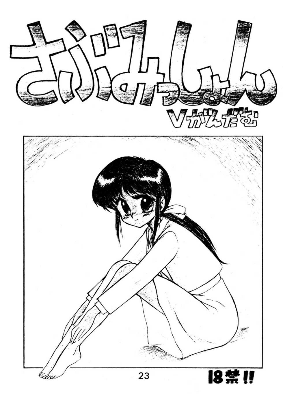[BLACK DOG (Kuroinu Juu)] ECHOES (Neon Genesis Evangelion, Bishoujo Senshi Sailor Moon, Victory Gundam) [1997-03-20] - Page 22