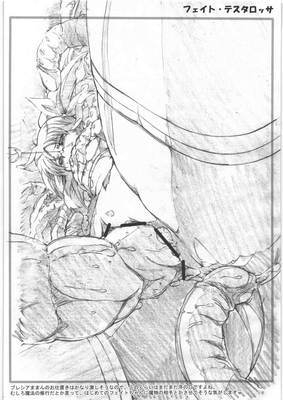 (SC46) [PHYSALIS (Seresu, Kuronei)] Shokushu Versus Vol. 1 (Mahou Shoujo Lyrical Nanoha) - Page 23