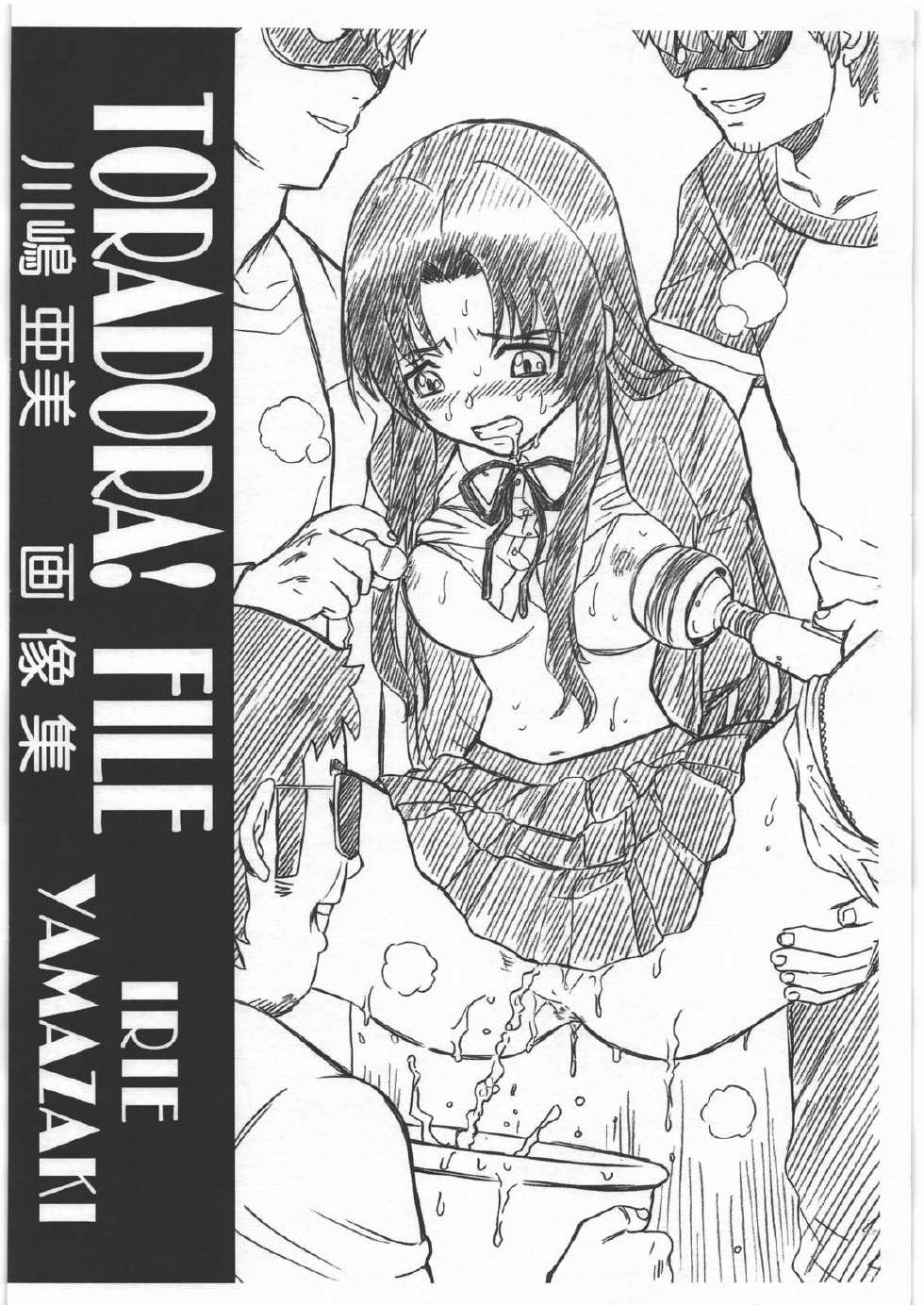 (COMIC1☆3) [Rat Tail (Irie Yamazaki)] TORADORA! FILE Kawashima Ami Gazoushuu (Toradora!) - Page 1