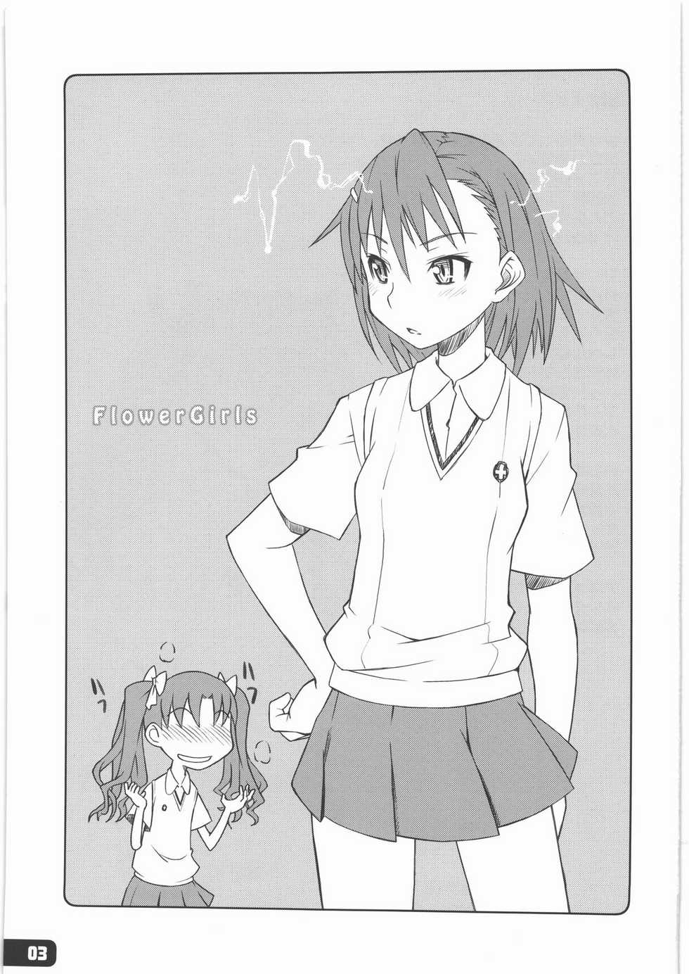 (COMIC1☆4) [Hagane Koubou (Haganema)] Flower Girls (Toaru Kagaku no Railgun) - Page 2