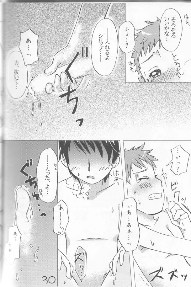 [Hapi Sani]  Ha chi mi tsu (Yes! Pretty Cure 5 GoGo!) - Page 29