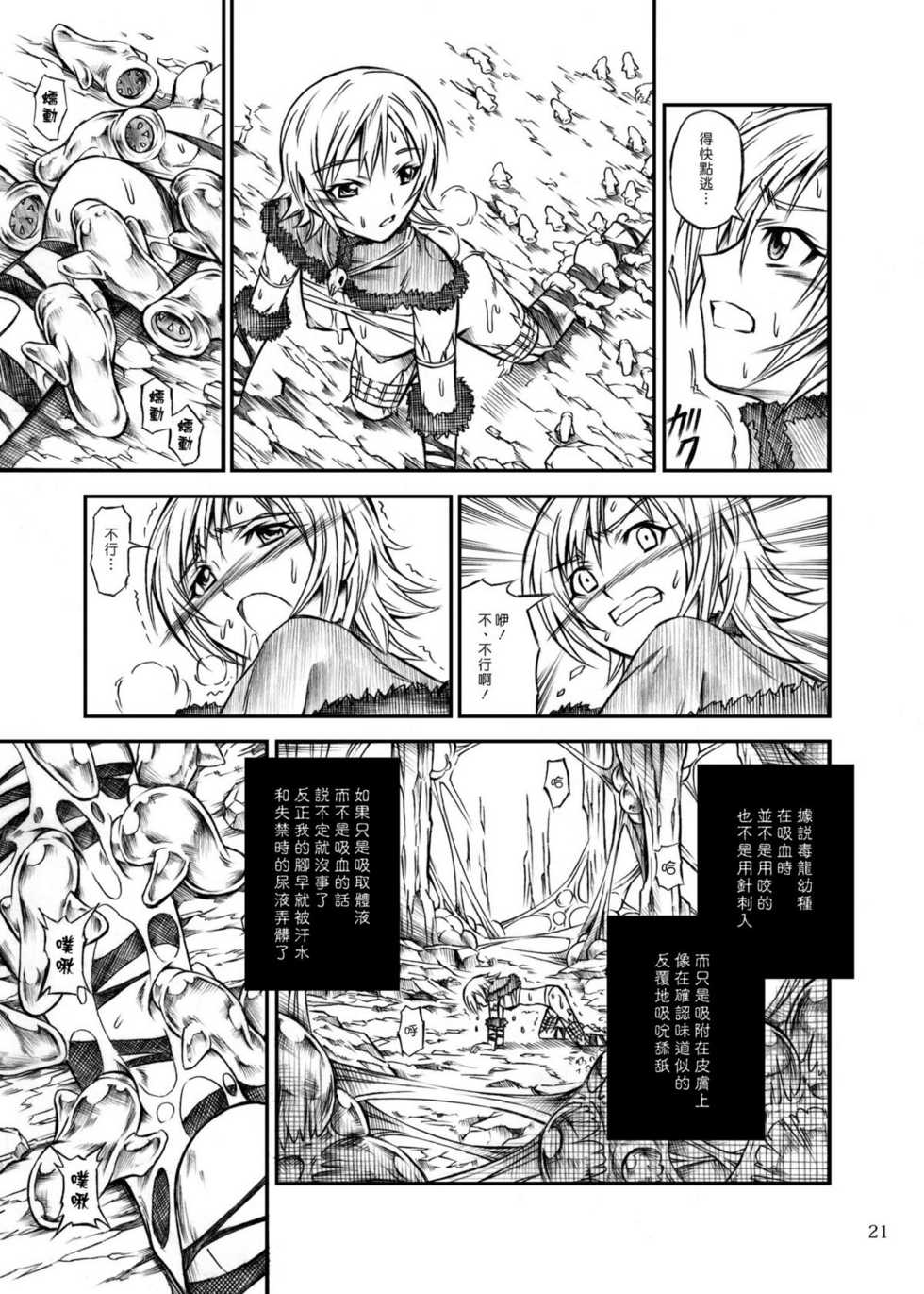 (C77) [Yokohama Junky (Makari Tohru)] Solo Hunter no Seitai (Monster Hunter) [Chinese] [漢化組漢化組] - Page 21