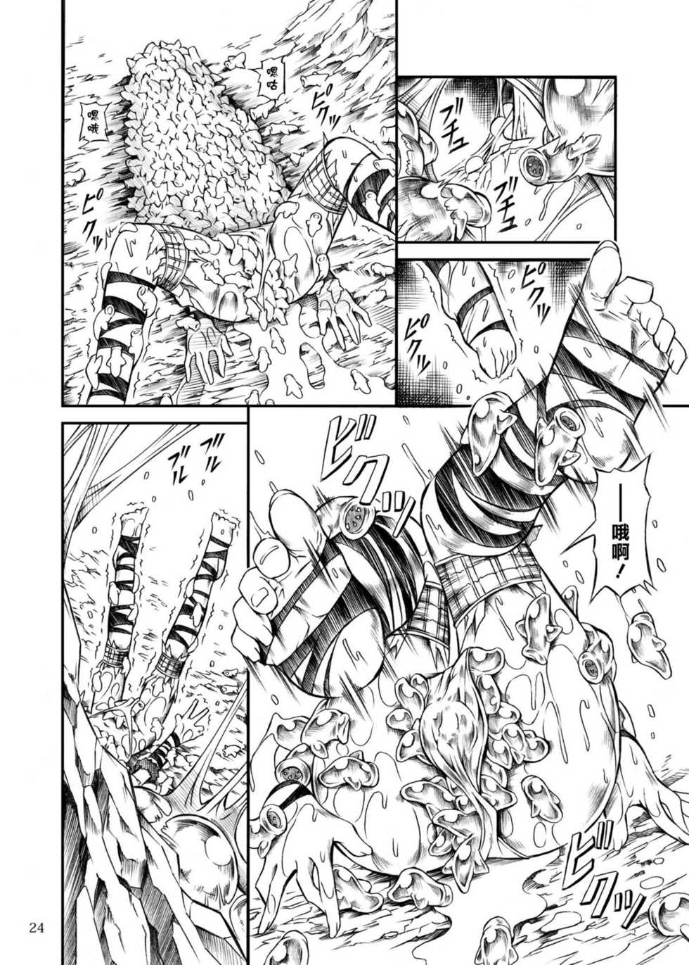 (C77) [Yokohama Junky (Makari Tohru)] Solo Hunter no Seitai (Monster Hunter) [Chinese] [漢化組漢化組] - Page 24