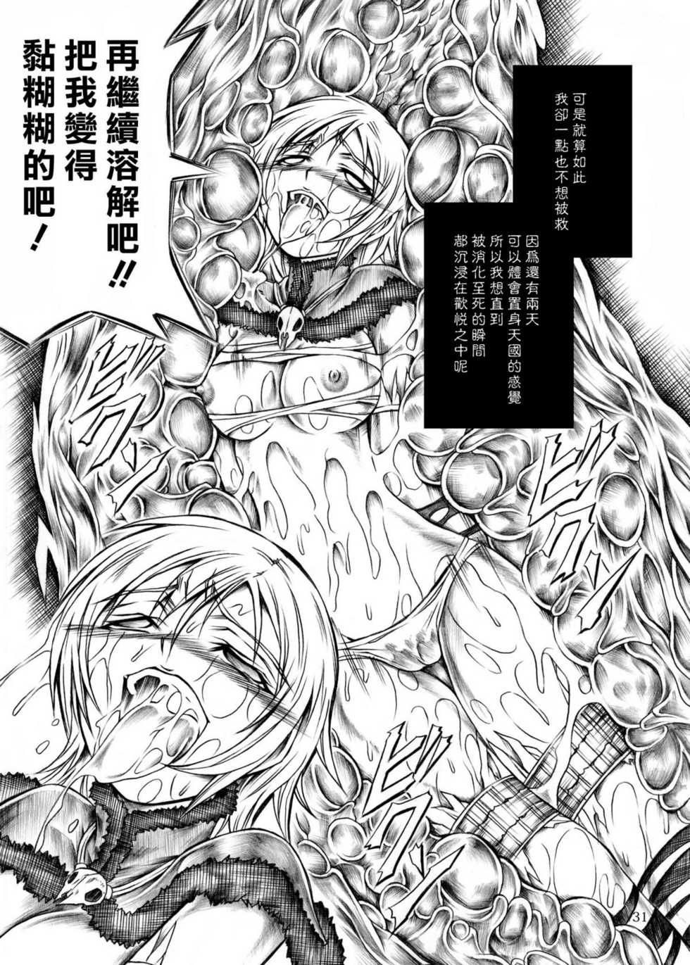 (C77) [Yokohama Junky (Makari Tohru)] Solo Hunter no Seitai (Monster Hunter) [Chinese] [漢化組漢化組] - Page 31