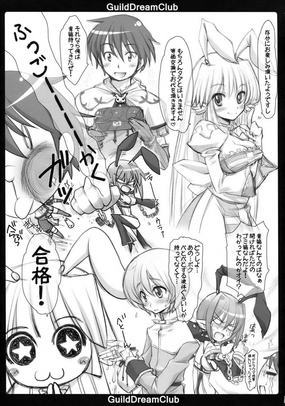 (C77) [AREYOUHAPPY? (Asai Ichiko)] GuildDreamClub (Ragnarok Online) - Page 13