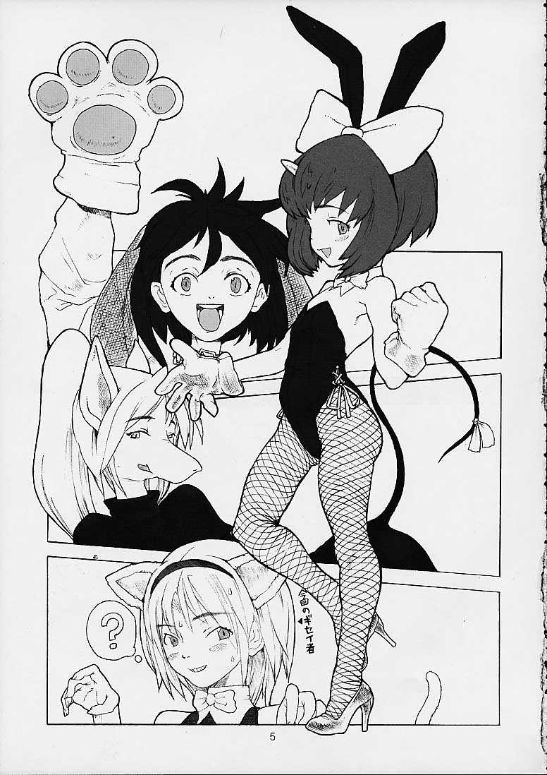 (C58) [Gadget Koubou (A-10)] FINAL PHANTASY (Final Fantasy IX) - Page 4