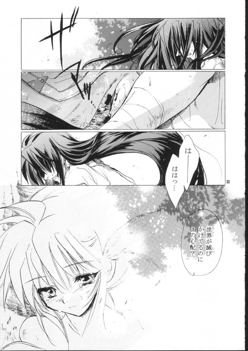 (C61) [Toko-ya (HEIZO, Kitoen)] side:NINA - Ryuu no Me no Fuukei ~ second (Breath Of Fire) - Page 33