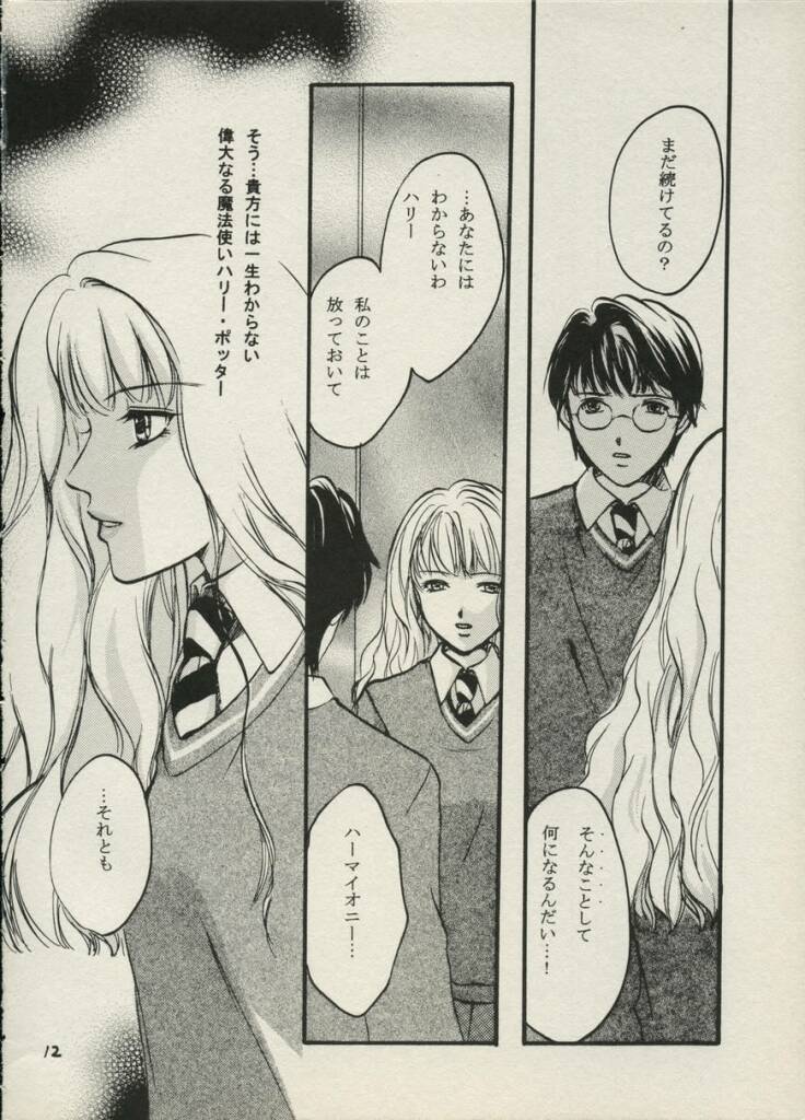 (C62) [Paranoia (Hiryuu Takahiro)] Ibarahime (Harry Potter) - Page 11