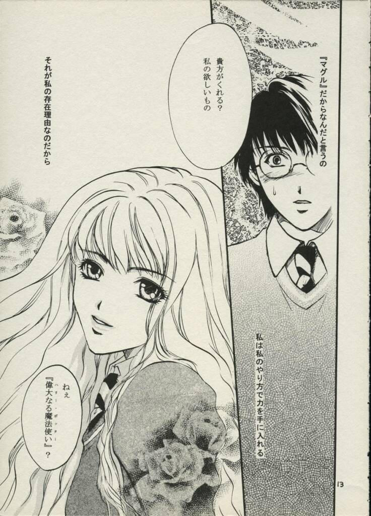 (C62) [Paranoia (Hiryuu Takahiro)] Ibarahime (Harry Potter) - Page 12