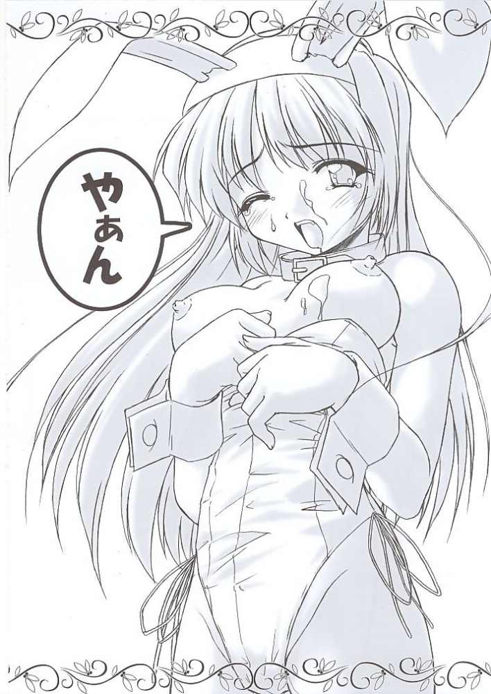 (C61) [Usagi Club (Ran)] Majolica - Page 17