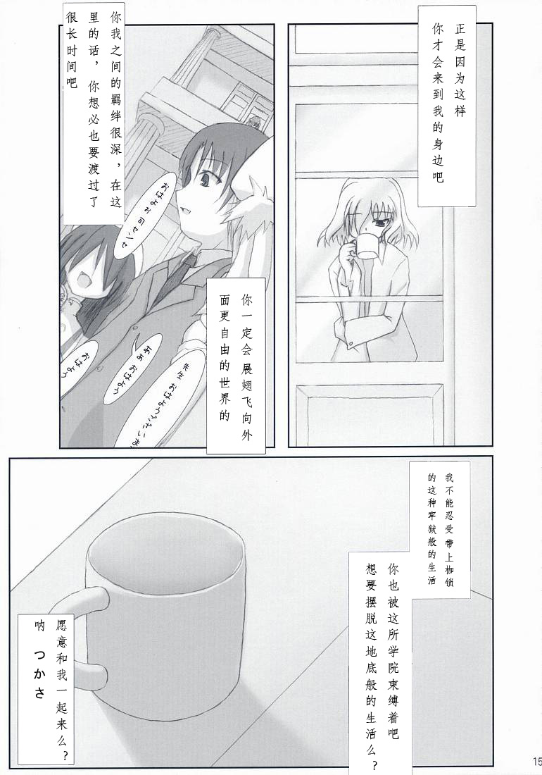 (SC36) [SSB (Maririn, Tsurusaki Takahiro)] Tsuuhan-san Seikatsu 2007 Haru (Haruka ni Aogi, Uruwashi no) [Chinese] [微笑&miku萌汉化] - Page 15