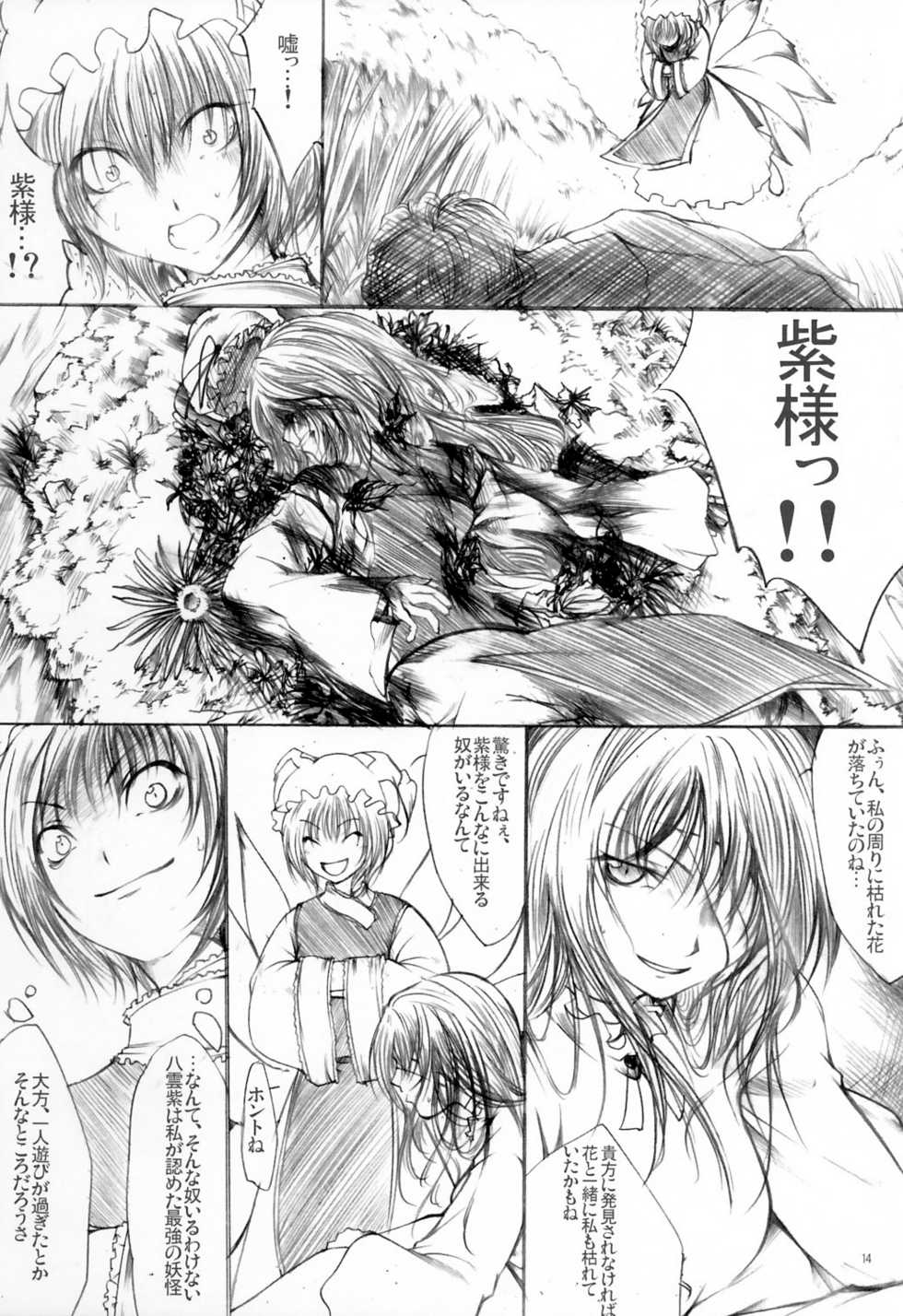 (C69) [Tohonifun (Chado)] Yuuka vs Yukari (Touhou Project) - Page 16