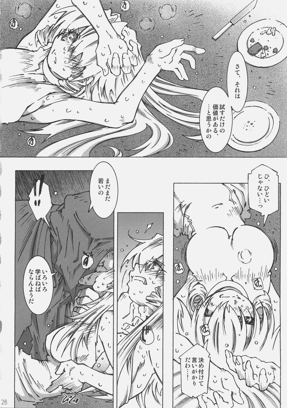 [OPEN BOOK (Toumi Haruka)] Dive Into The Night (Scrapped Princess) - Page 25