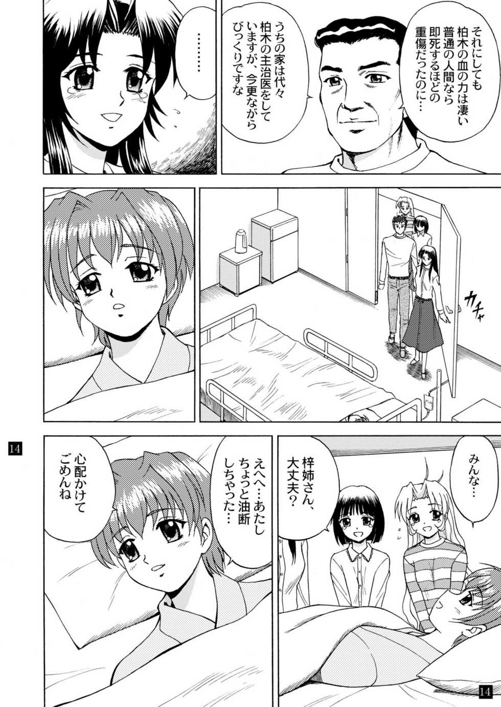 (C65) [YASRIN-DO (Yasu Rintarou)] Gekkouki Daiyonya (Tsukihime, Kizuato) - Page 17