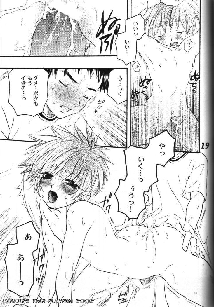 (SUPER11) [Seireitou (Hinata Seika)] Issun Houshi (Digimon Tamers) - Page 16