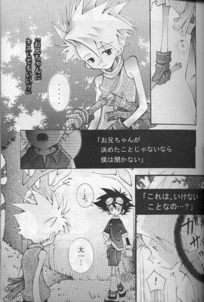 [HYPER BROND (Ichijo Karune)] JA-TA-KE (Digimon Adventure) - Page 8