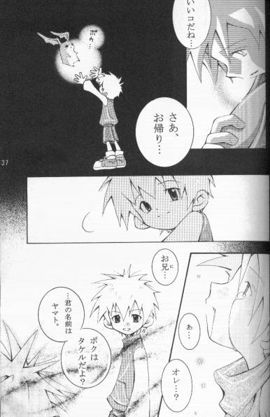 [HYPER BROND (Ichijo Karune)] JA-TA-KE (Digimon Adventure) - Page 36