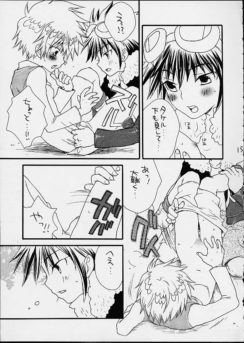 [Guru Guru Margarine (Asahiya Butter)] Fushigi Na Peach Pie (Digimon Adventure 02) - Page 13