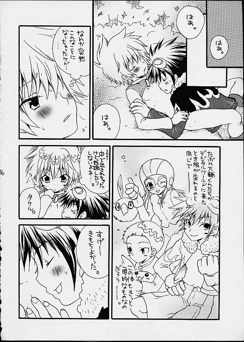 [Guru Guru Margarine (Asahiya Butter)] Fushigi Na Peach Pie (Digimon Adventure 02) - Page 28