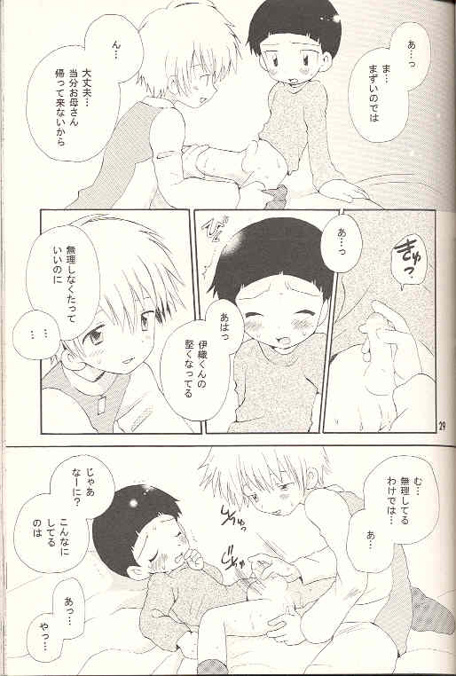 [KuruGuru DNA (Hoshiai Hilo)] Obore Sakana (Digimon Adventure 02) - Page 28