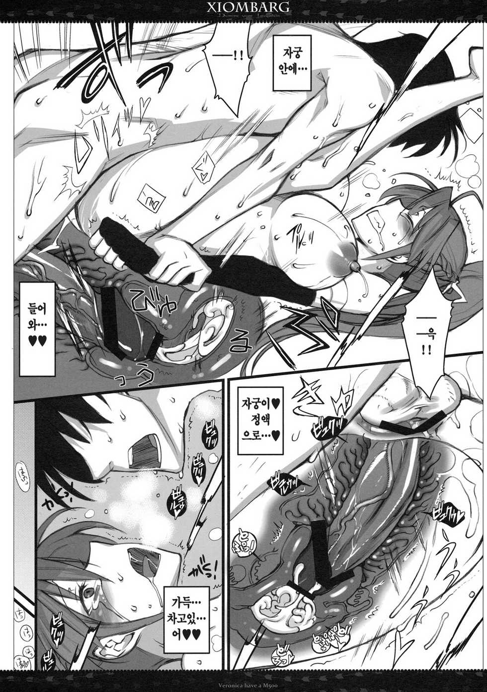 (SC50) [VM500 (Kome)] Xiombarg (Mahou Shoujo Lyrical Nanoha StrikerS) [Korean] [Team H] - Page 20