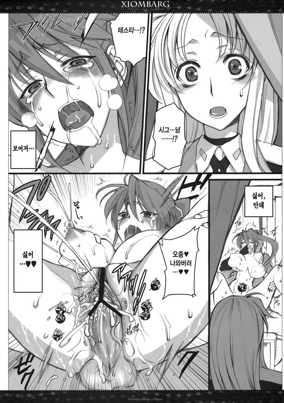 (SC50) [VM500 (Kome)] Xiombarg (Mahou Shoujo Lyrical Nanoha StrikerS) [Korean] [Team H] - Page 22