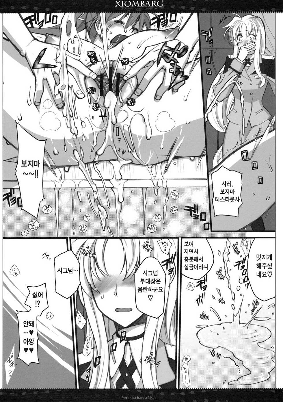(SC50) [VM500 (Kome)] Xiombarg (Mahou Shoujo Lyrical Nanoha StrikerS) [Korean] [Team H] - Page 23